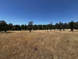  Wilson Hill Road - Photo 4