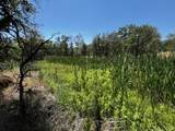  Wilson Hill Road - Photo 7