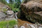 19250 Coal Creek Road - Photo 21
