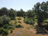 4655 Goodwater Avenue - Photo 13