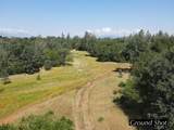 4655 Goodwater Avenue - Photo 4