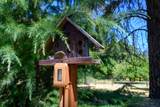 290 Mountain View Drive - Photo 41