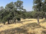 17125 Quail Ridge Road - Photo 10