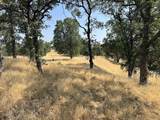 17125 Quail Ridge Road - Photo 11