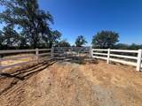 17125 Quail Ridge Road - Photo 3