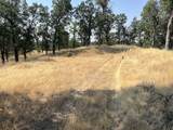 17125 Quail Ridge Road - Photo 8