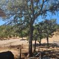 15747 Mendocino Drive - Photo 45