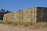 16857 Gas Point Road - Photo 26