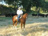 16857 Gas Point Road - Photo 33