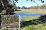 Lot 20 Lawndale - Photo 1