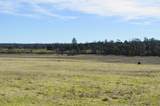 000 Eighmy Road - Photo 10