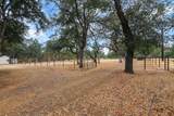 19375 Gas Point Road - Photo 62