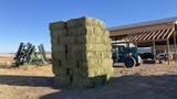 667-875 State Hwy 299 E - Photo 25