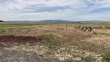 667-875 State Hwy 299 E - Photo 63