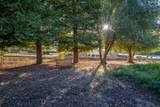 12269 Dry Creek Road - Photo 55