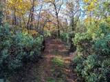  20 Acres Jones Valley - Photo 17