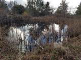 21775 Manton School Road - Photo 62