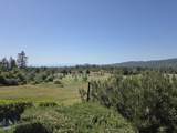 21775 Manton School Road - Photo 7