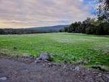 21675 Wildcat Road - Photo 41