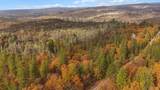 11664 Mc Callister Trail - Photo 29