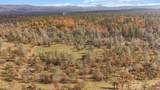 11664 Mc Callister Trail - Photo 32