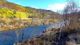 000 Trinity Mountain Road - Photo 10