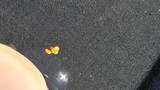 000 Trinity Mountain Road - Photo 11
