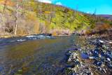 000 Trinity Mountain Road - Photo 14