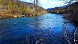 000 Trinity Mountain Road - Photo 15