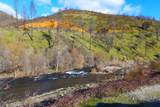 000 Trinity Mountain Road - Photo 19