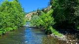 000 Trinity Mountain Road - Photo 4