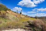 10249 Carrousel Drive - Photo 8
