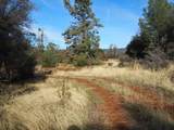 21705 Powerhouse Road - Photo 2