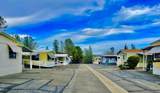 821 St Marks Street - Photo 23