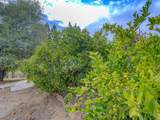 15917 Frontiersman Drive - Photo 88