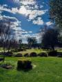 13228 Tierra Oaks Drive - Photo 33