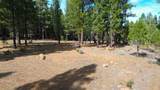 42451 Blue Heron Circle - Photo 5