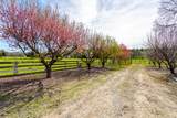 11847 Oak Run Road - Photo 37