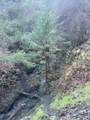 1489 Lower South Fork Road - Photo 19