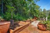 3812 Pancake Hill Drive - Photo 5