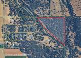  19 Acres Off Scheer Drive - Photo 2