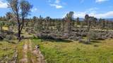  Lack Creek Drive - Photo 10