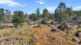  Lack Creek Drive - Photo 13