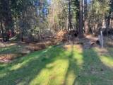 30830 Thumper Drive - Photo 36