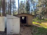 30830 Thumper Drive - Photo 38