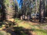 30830 Thumper Drive - Photo 40