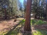 30830 Thumper Drive - Photo 41