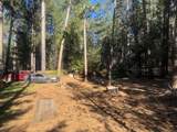 30830 Thumper Drive - Photo 44