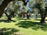 5572 Olive Street - Photo 28