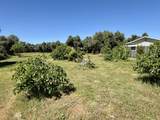 5572 Olive Street - Photo 29